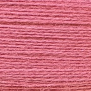 Broderitrd Rainbow Persian Coral RP55