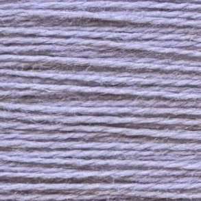 Broderitrd Rainbow Persian Iris RP81