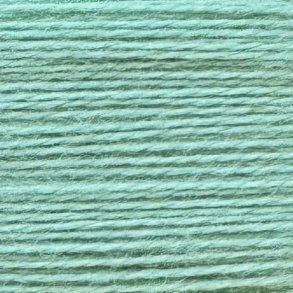 Broderitrd Rainbow Persian Flowering Cactus RP89