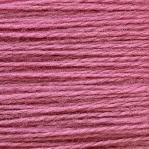 Broderitrd Rainbow Persian Begonia Pink RP04