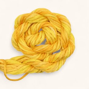 Broderitrd Waterlilies Daffodil 275